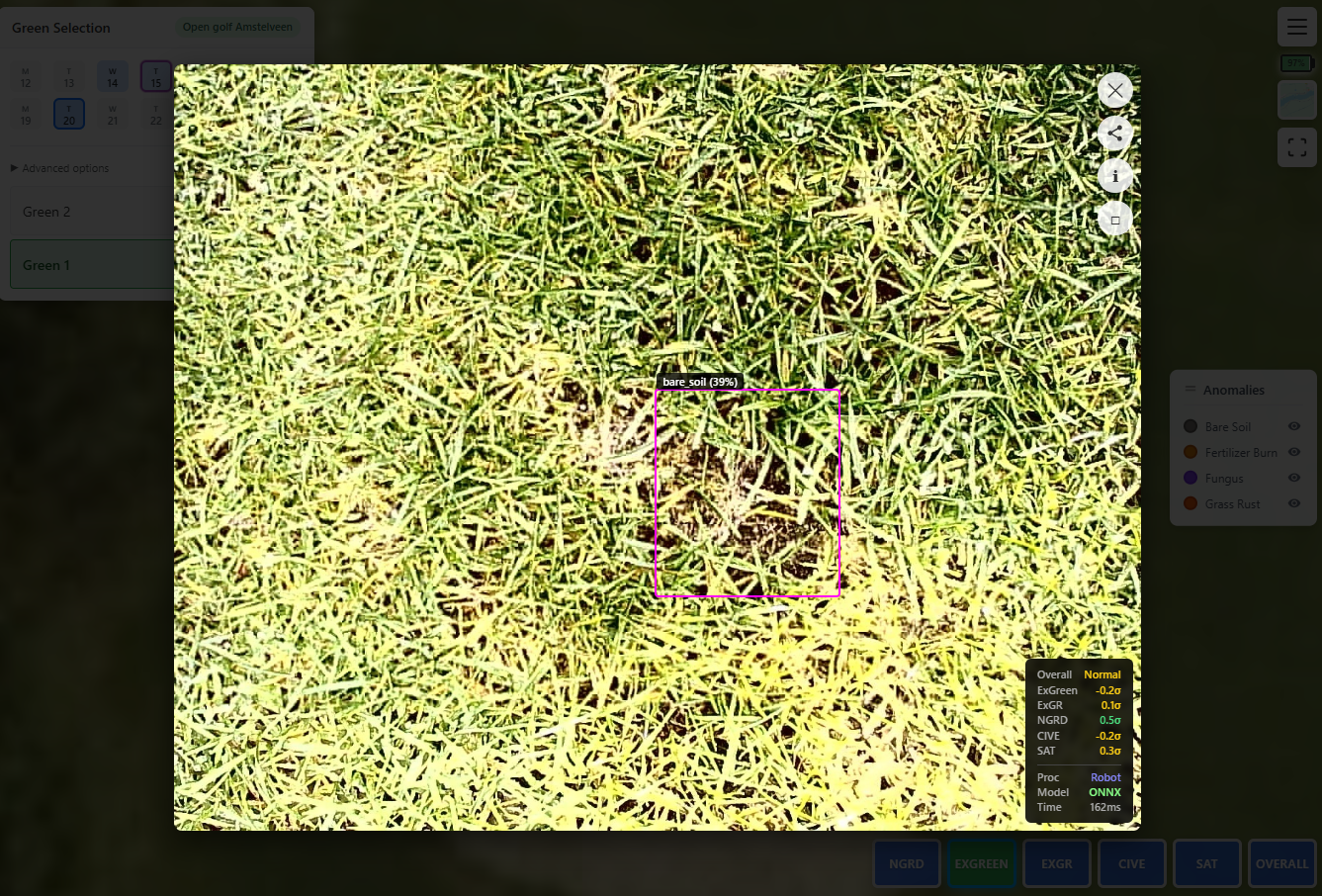 Remote image inspection with AI analysis